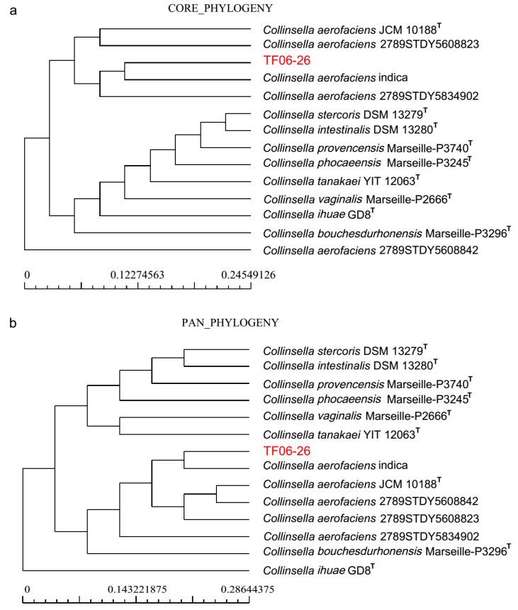 https://cdn.ncbi.nlm.nih.gov/pmc/blobs/ded1/6463082/02ffbafb0277/microorganisms-07-00078-g002.jpg