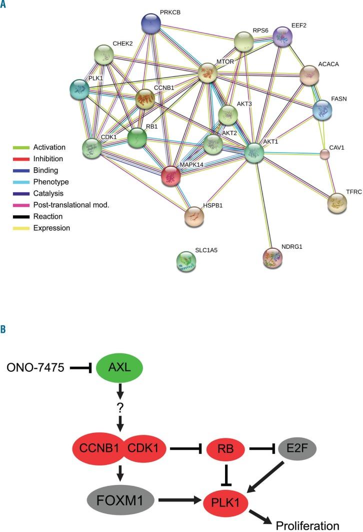 https://cdn.ncbi.nlm.nih.gov/pmc/blobs/dedd/5709104/3143fb570fe1/1022048fig3.jpg