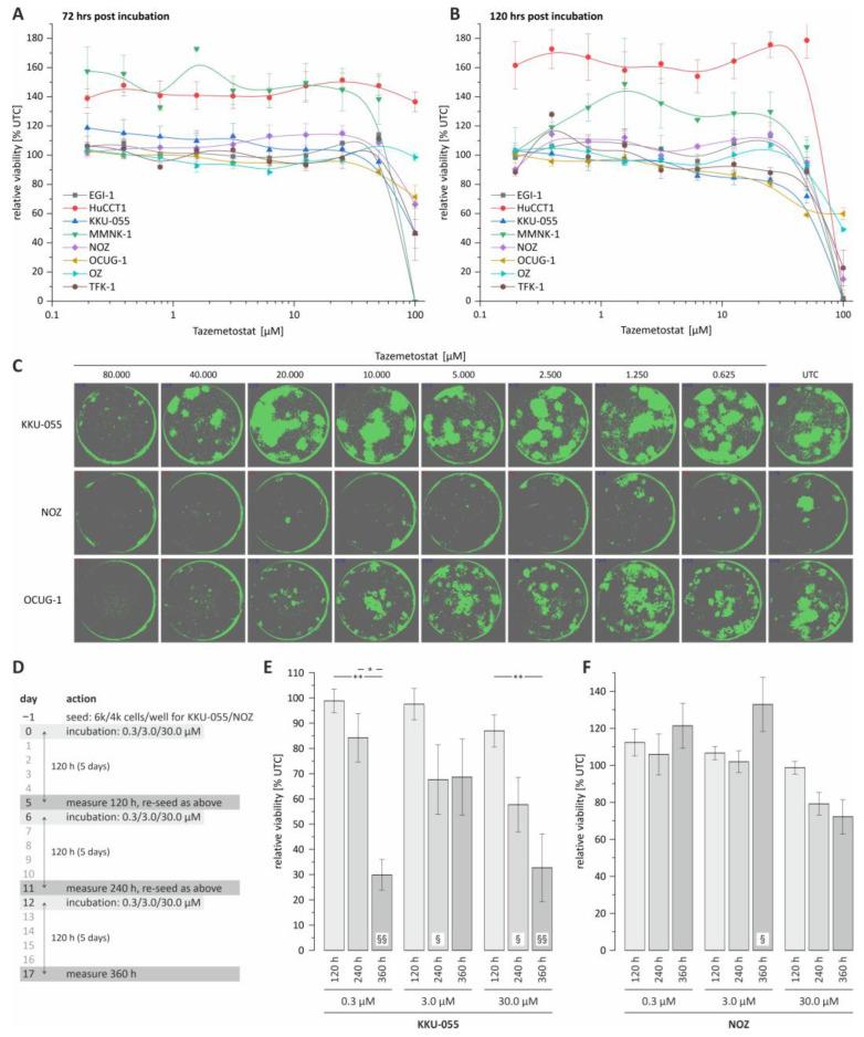 https://cdn.ncbi.nlm.nih.gov/pmc/blobs/dee4/10000745/120d84a87e2b/cancers-15-01569-g001.jpg