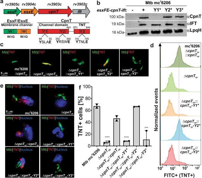 https://cdn.ncbi.nlm.nih.gov/pmc/blobs/dee7/8593097/e815642ef9bb/41467_2021_26925_Fig1_HTML.jpg