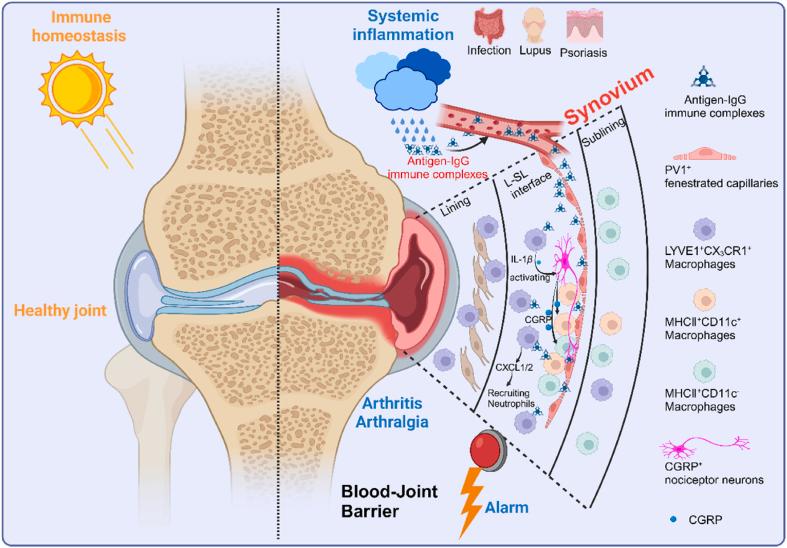 https://cdn.ncbi.nlm.nih.gov/pmc/blobs/def1/12138111/b7a115ccf82a/gr1.jpg