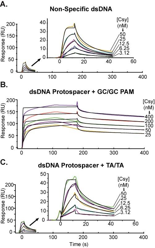 https://cdn.ncbi.nlm.nih.gov/pmc/blobs/def3/4344526/f0cd2982fb08/gkv094fig3.jpg
