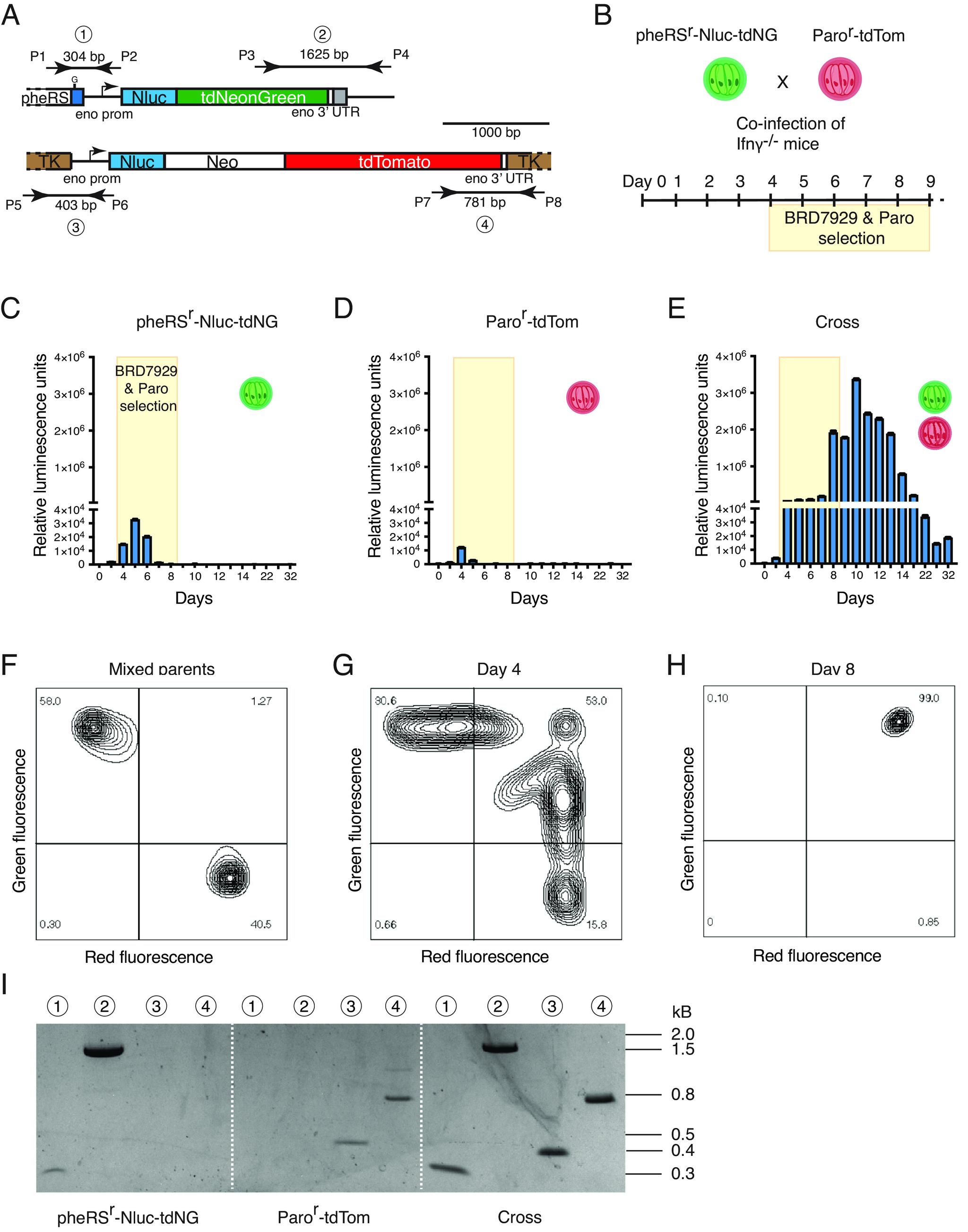 https://cdn.ncbi.nlm.nih.gov/pmc/blobs/df0e/10769859/02f13b4b1cc7/pnas.2313210120fig03.jpg