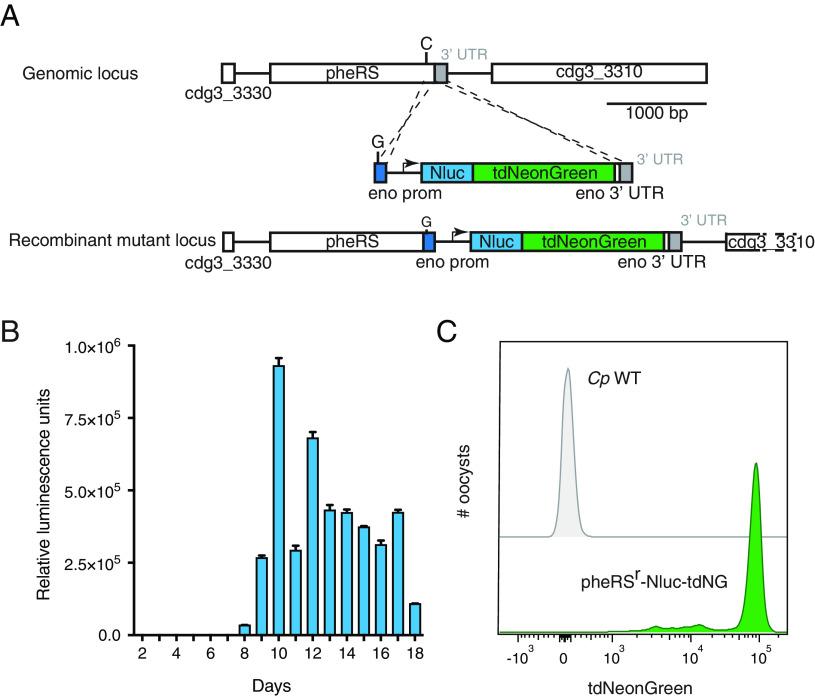 https://cdn.ncbi.nlm.nih.gov/pmc/blobs/df0e/10769859/c3e45492bc3e/pnas.2313210120fig01.jpg