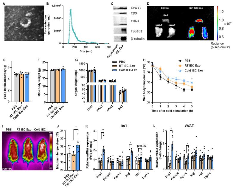 https://cdn.ncbi.nlm.nih.gov/pmc/blobs/df15/12113151/06e24a3fa48d/metabolites-15-00324-g001.jpg