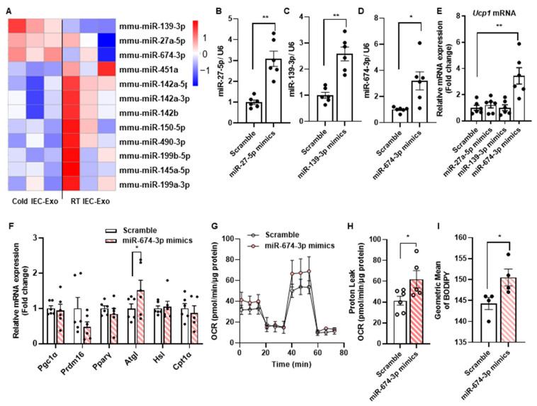 https://cdn.ncbi.nlm.nih.gov/pmc/blobs/df15/12113151/f16d197a106b/metabolites-15-00324-g003.jpg