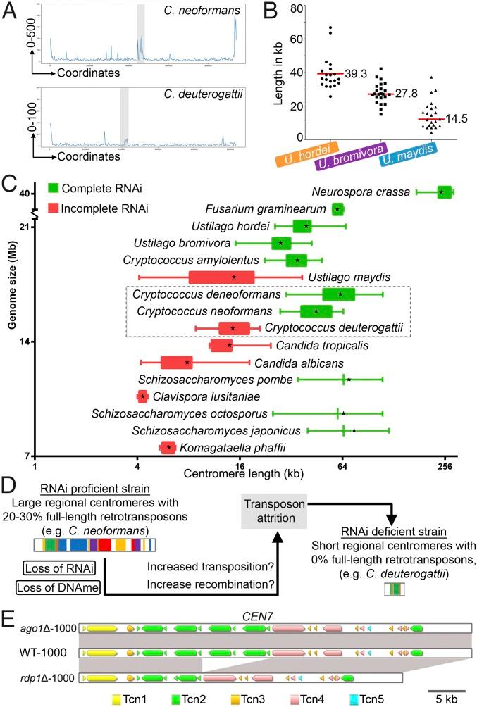 https://cdn.ncbi.nlm.nih.gov/pmc/blobs/df52/5866544/07ea8842f8f8/pnas.1713725115fig04.jpg