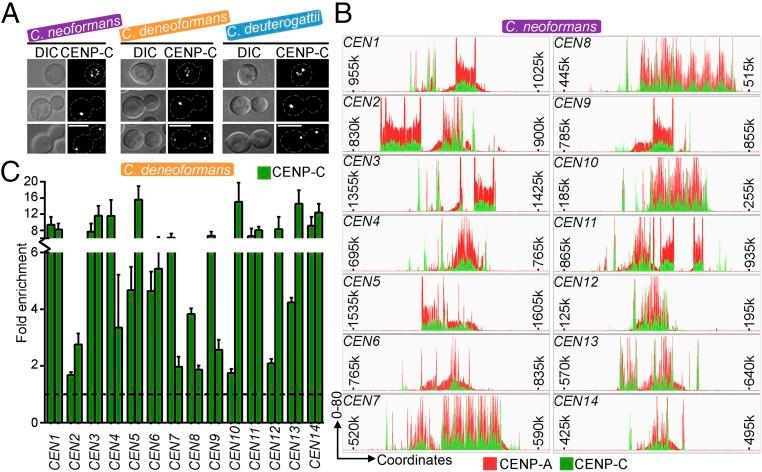 https://cdn.ncbi.nlm.nih.gov/pmc/blobs/df52/5866544/276d224b4f02/pnas.1713725115fig01.jpg