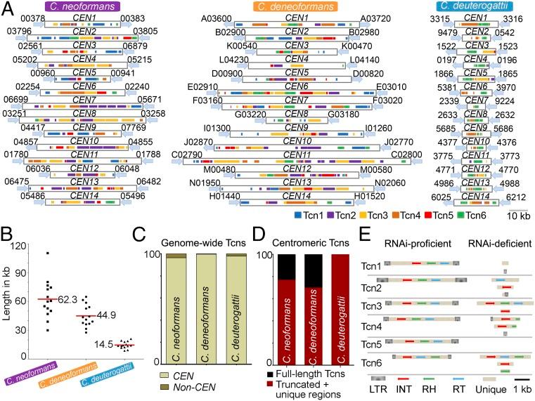 https://cdn.ncbi.nlm.nih.gov/pmc/blobs/df52/5866544/ac8c7f5c3b7d/pnas.1713725115fig03.jpg