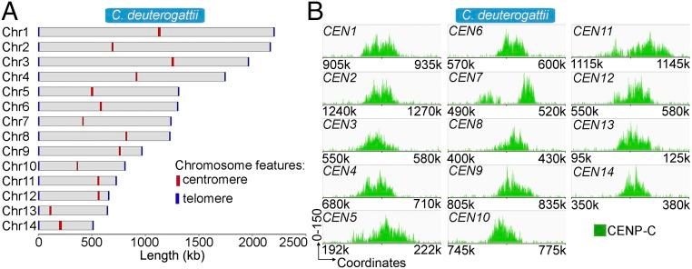 https://cdn.ncbi.nlm.nih.gov/pmc/blobs/df52/5866544/f73b469c0af8/pnas.1713725115fig02.jpg