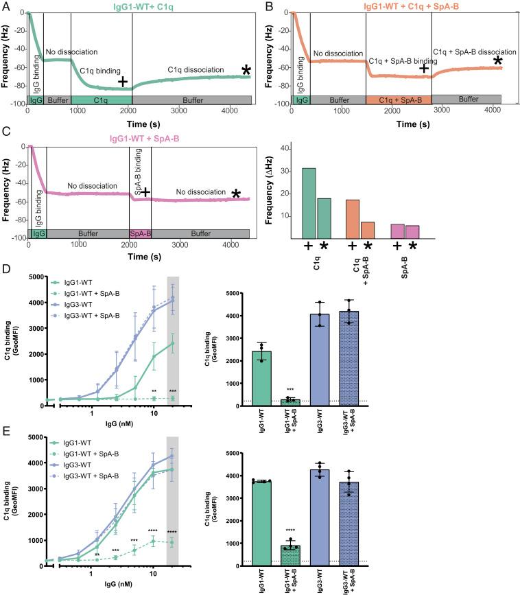 https://cdn.ncbi.nlm.nih.gov/pmc/blobs/df5d/7896290/44e2d0f2e598/pnas.2016772118fig05.jpg