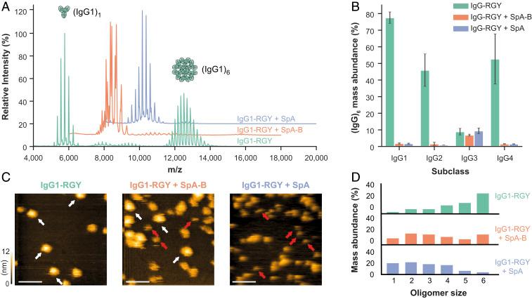 https://cdn.ncbi.nlm.nih.gov/pmc/blobs/df5d/7896290/67488dcccf52/pnas.2016772118fig03.jpg