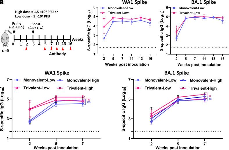 https://cdn.ncbi.nlm.nih.gov/pmc/blobs/df80/10576135/09fb263a7690/pnas.2220403120fig04.jpg