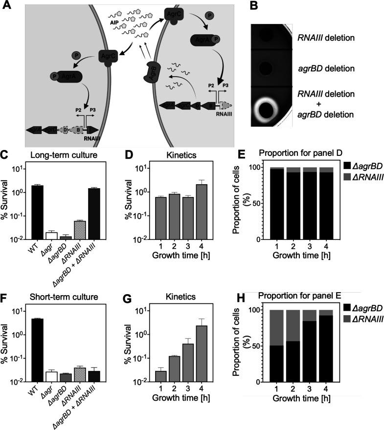 https://cdn.ncbi.nlm.nih.gov/pmc/blobs/df89/11060713/21bc19a74366/elife-89098-fig3.jpg