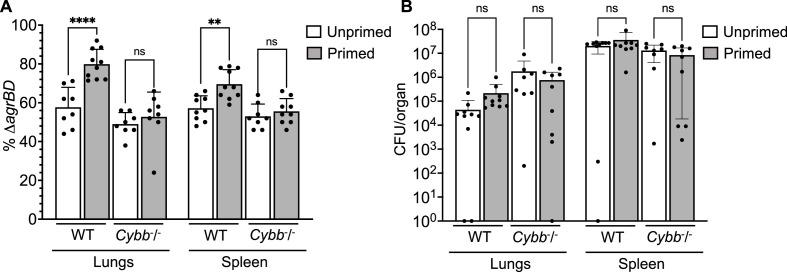 https://cdn.ncbi.nlm.nih.gov/pmc/blobs/df89/11060713/ddf9e02ffef1/elife-89098-fig9.jpg
