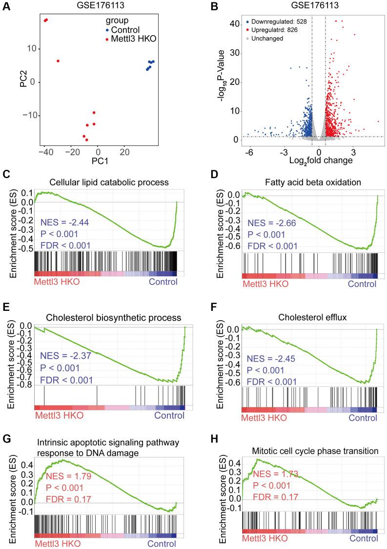 https://cdn.ncbi.nlm.nih.gov/pmc/blobs/df8e/10333091/3341b7243015/aging-15-204810-g004.jpg