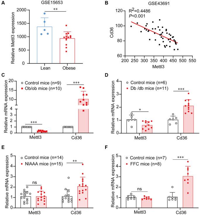 https://cdn.ncbi.nlm.nih.gov/pmc/blobs/df8e/10333091/eb48a65b82b3/aging-15-204810-g001.jpg