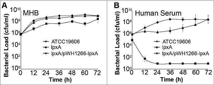 https://cdn.ncbi.nlm.nih.gov/pmc/blobs/df8e/5955468/ac724f3b0301/kvir-09-01-1460187-g001.jpg