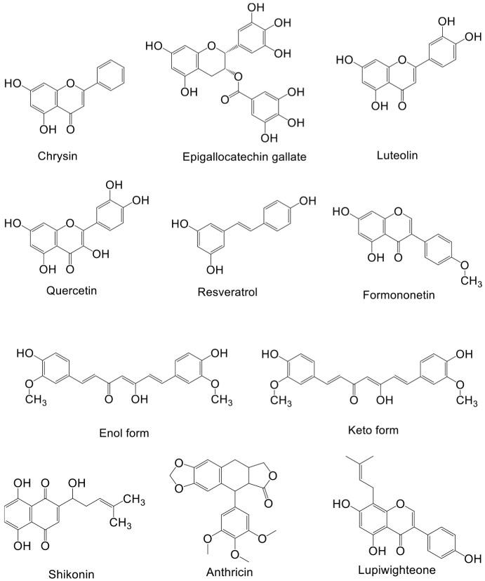 https://cdn.ncbi.nlm.nih.gov/pmc/blobs/df92/9856042/cc08d8ee902d/biomolecules-13-00093-g002a.jpg