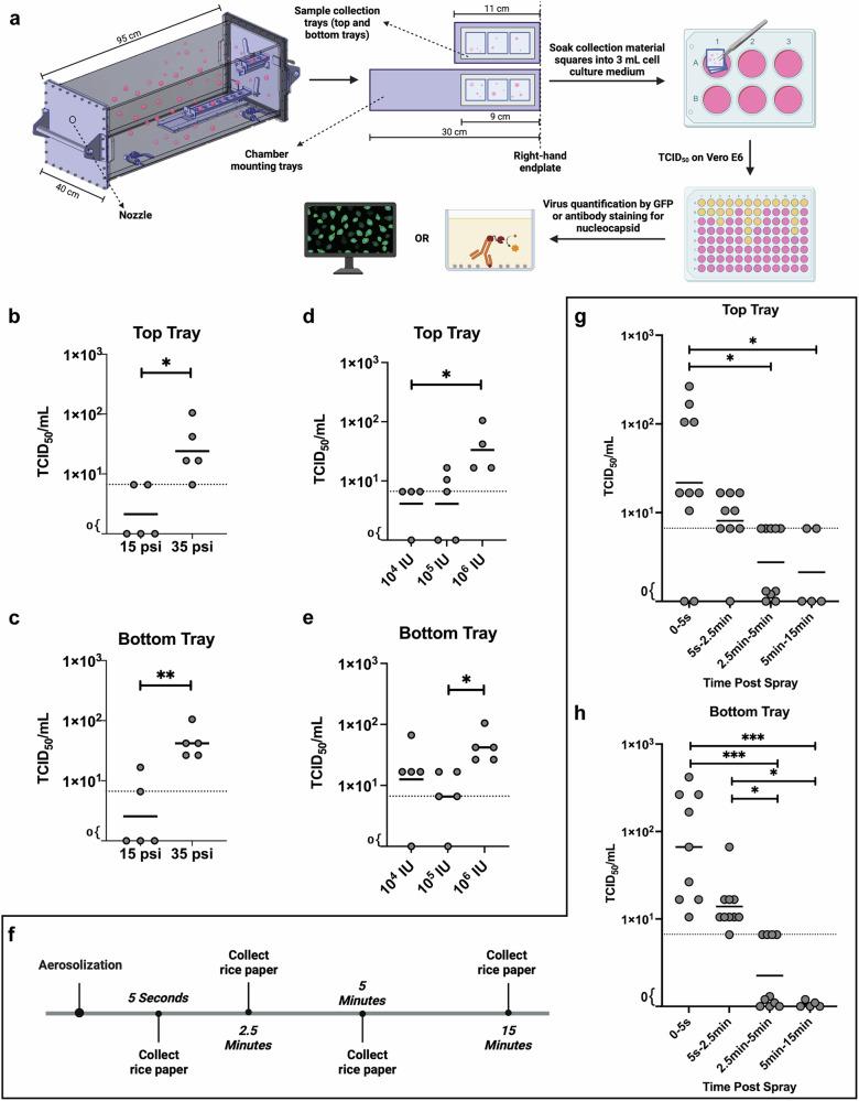 https://cdn.ncbi.nlm.nih.gov/pmc/blobs/df98/12361559/ff5420b4936e/44298_2025_143_Fig3_HTML.jpg