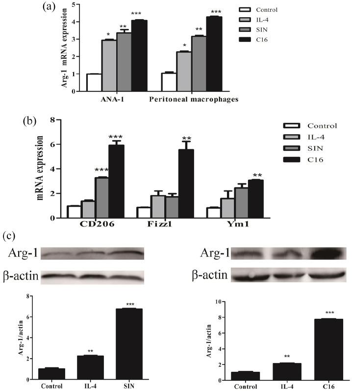 https://cdn.ncbi.nlm.nih.gov/pmc/blobs/df9a/8256249/1f3f1b006b09/10.1177_20587384211026786-fig4.jpg