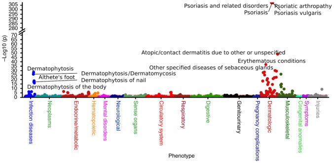 https://cdn.ncbi.nlm.nih.gov/pmc/blobs/dfa5/11106694/3b4916fca9b4/mmr-30-01-13239-g06.jpg