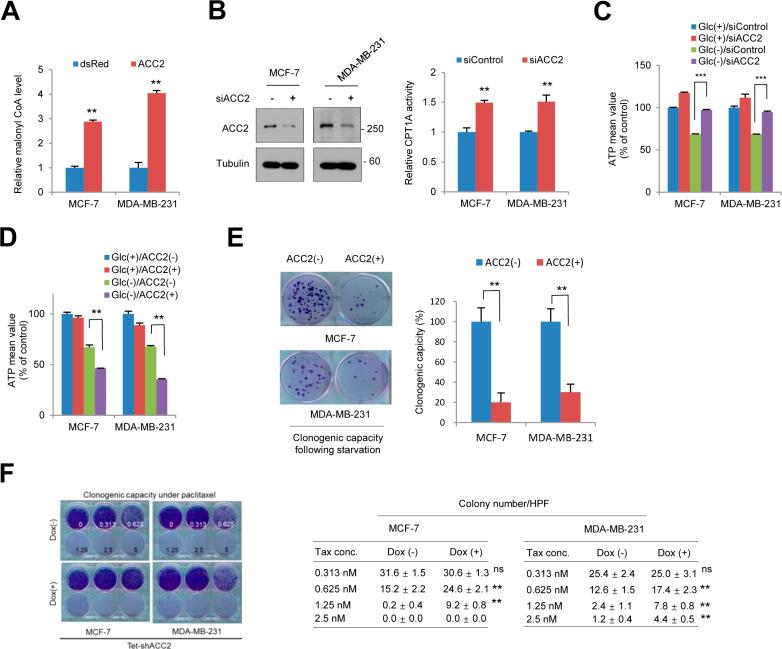https://cdn.ncbi.nlm.nih.gov/pmc/blobs/dfaf/7283136/552d2dc85308/LSA-2020-00683_FigS4.jpg