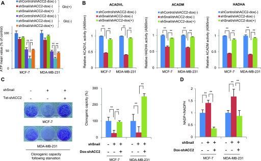 https://cdn.ncbi.nlm.nih.gov/pmc/blobs/dfaf/7283136/e5d804ce19aa/LSA-2020-00683_Fig4.jpg