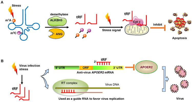 https://cdn.ncbi.nlm.nih.gov/pmc/blobs/dfb1/7681095/d1a29771e752/thnov11p0461g005.jpg
