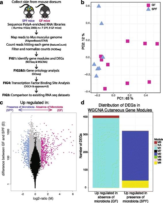 https://cdn.ncbi.nlm.nih.gov/pmc/blobs/dfd1/5789709/b0add938fdc1/40168_2018_404_Fig1_HTML.jpg