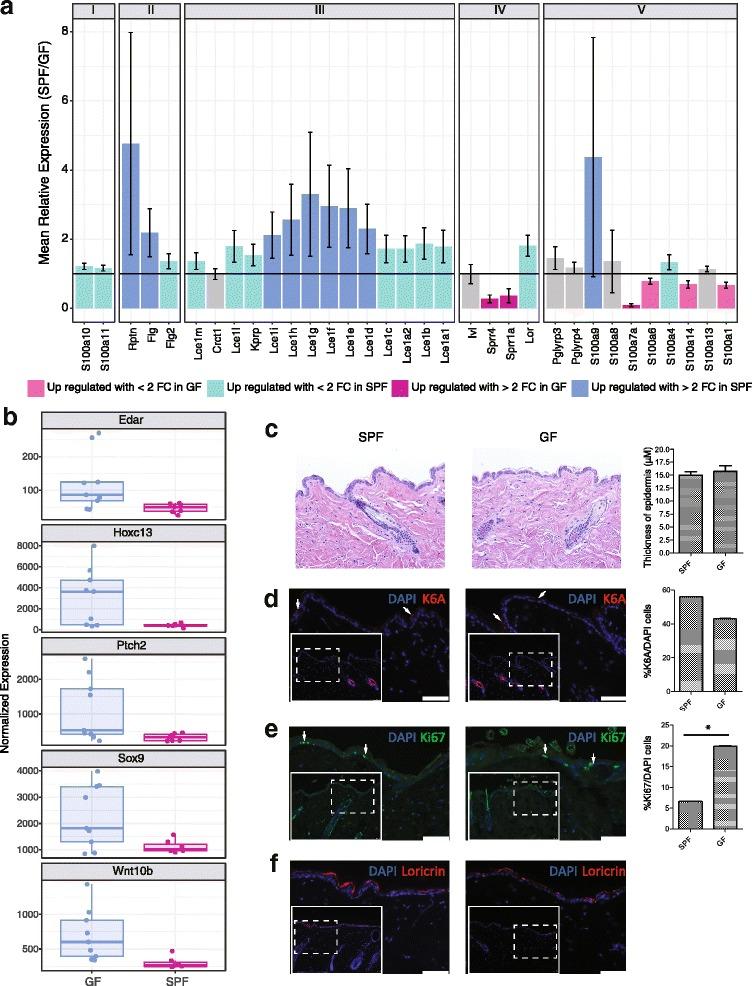 https://cdn.ncbi.nlm.nih.gov/pmc/blobs/dfd1/5789709/fc6339ccabf5/40168_2018_404_Fig3_HTML.jpg