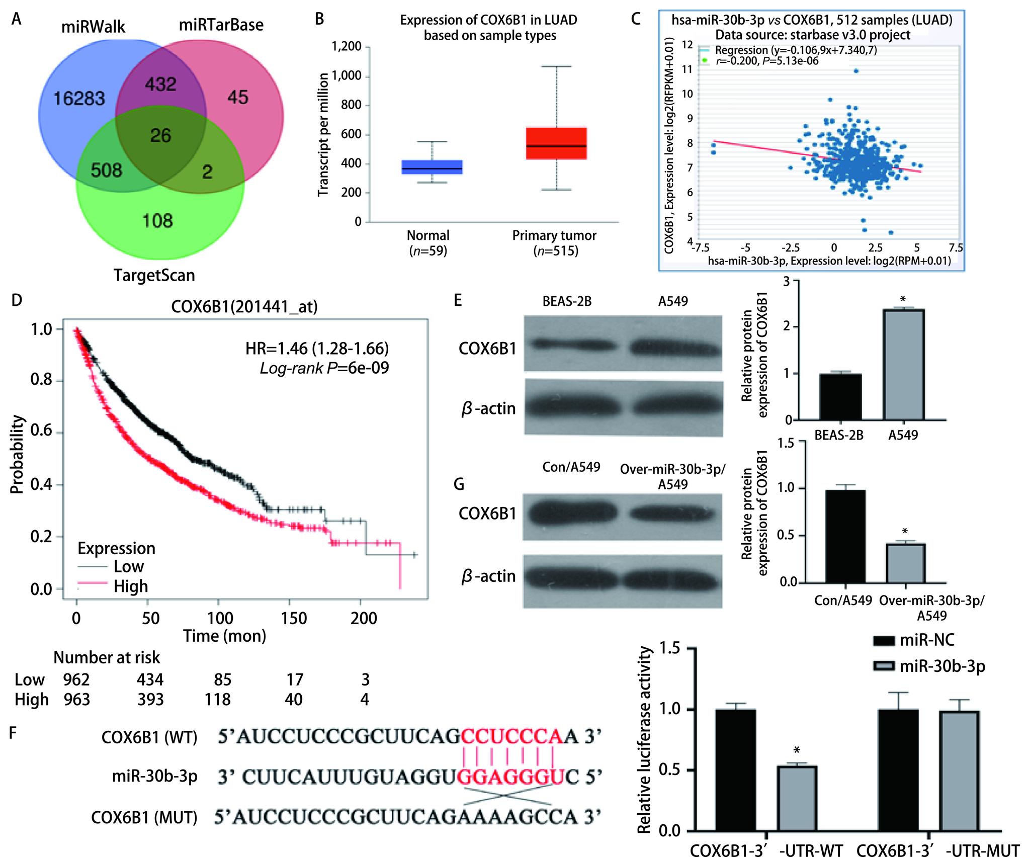 https://cdn.ncbi.nlm.nih.gov/pmc/blobs/dfd6/9411956/a6d2e985168a/zgfazz-25-8-567-3.jpg