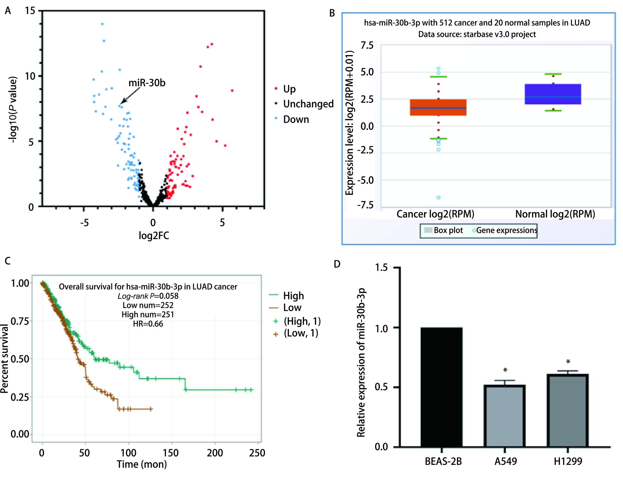 https://cdn.ncbi.nlm.nih.gov/pmc/blobs/dfd6/9411956/dba13f434b9d/zgfazz-25-8-567-1.jpg