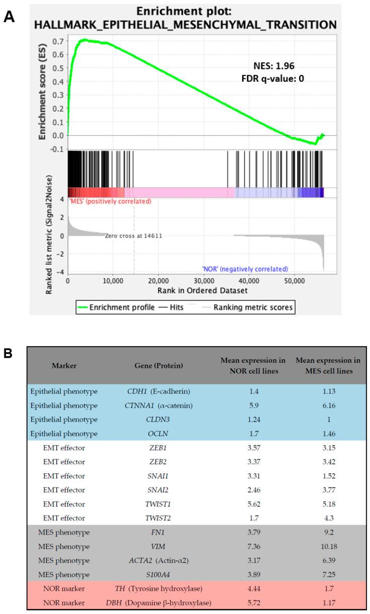 https://cdn.ncbi.nlm.nih.gov/pmc/blobs/dfdf/8230375/0134c155aa0b/cancers-13-02904-g004.jpg