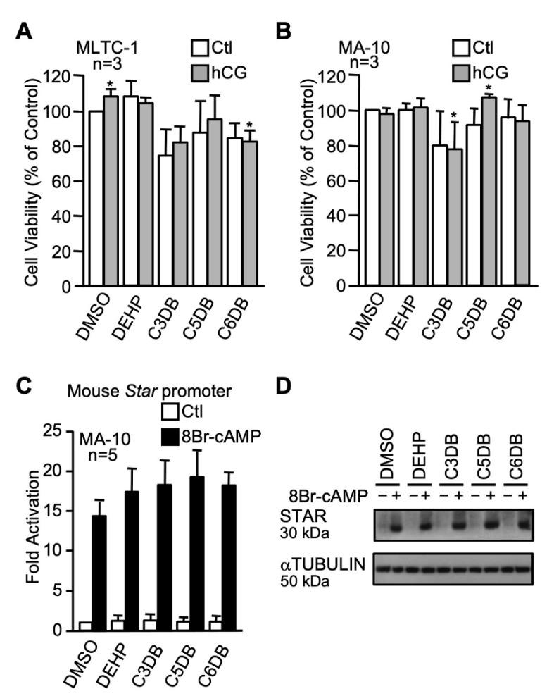 https://cdn.ncbi.nlm.nih.gov/pmc/blobs/dff2/8584274/b9fb61785dfc/ijms-22-11456-g004.jpg