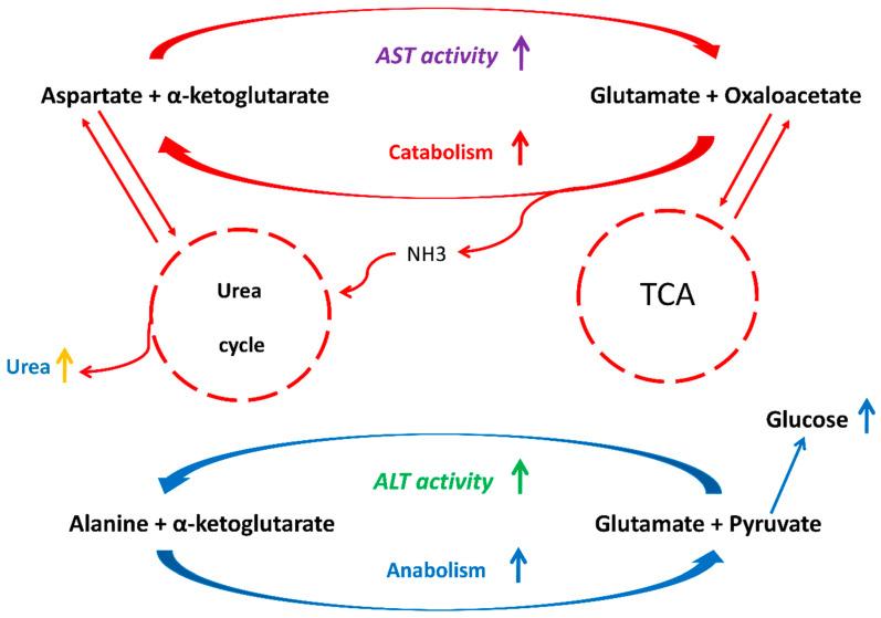 https://cdn.ncbi.nlm.nih.gov/pmc/blobs/e009/11767981/42d91f6c3e02/metabolites-15-00021-g003.jpg