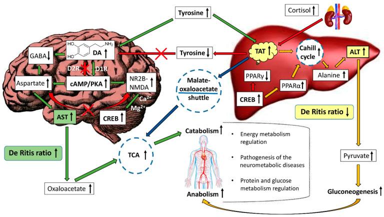 https://cdn.ncbi.nlm.nih.gov/pmc/blobs/e009/11767981/5ddf999d99e7/metabolites-15-00021-g006.jpg