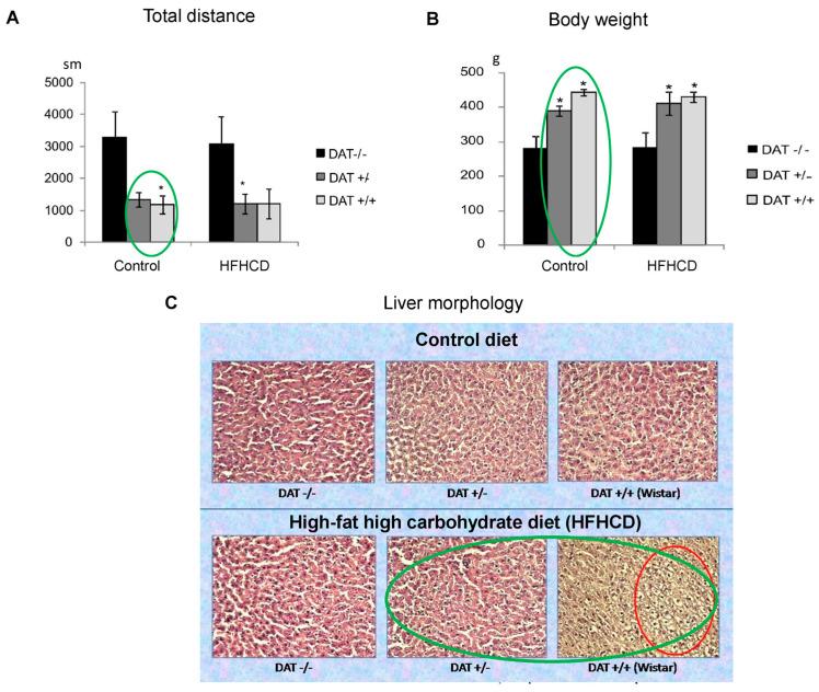 https://cdn.ncbi.nlm.nih.gov/pmc/blobs/e009/11767981/bf2baa50d28f/metabolites-15-00021-g004.jpg