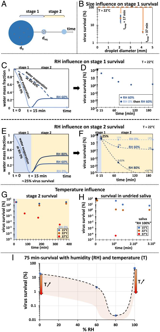 https://cdn.ncbi.nlm.nih.gov/pmc/blobs/e00f/9371747/09296ac77109/pnas.2204593119fig06.jpg