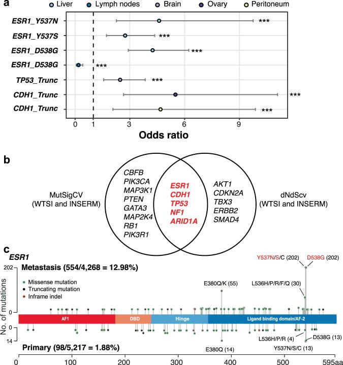 https://cdn.ncbi.nlm.nih.gov/pmc/blobs/e01e/8285498/62c6f6ba318c/41523_2021_303_Fig4_HTML.jpg