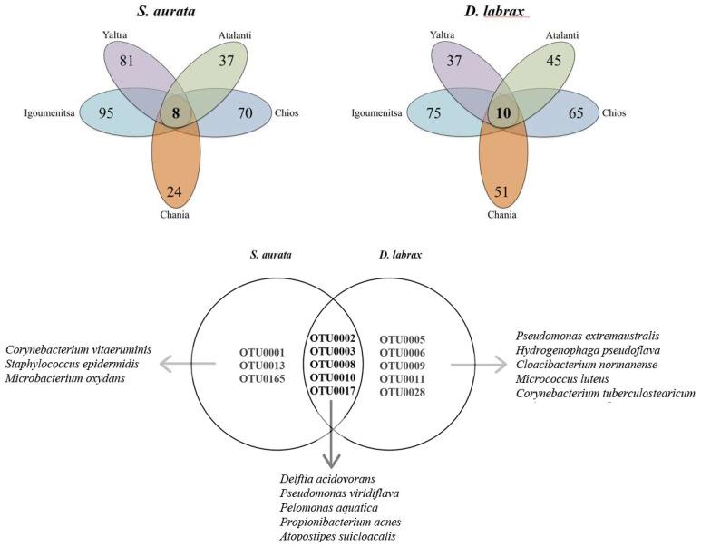 https://cdn.ncbi.nlm.nih.gov/pmc/blobs/e03d/6164763/e4b20af09c23/microorganisms-06-00092-g001.jpg