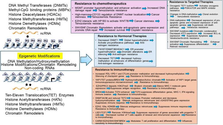 https://cdn.ncbi.nlm.nih.gov/pmc/blobs/e063/12080166/4cef38778766/12943_2025_2339_Fig3_HTML.jpg