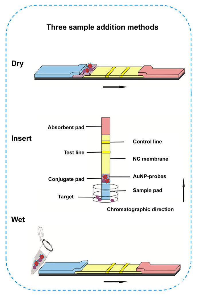 https://cdn.ncbi.nlm.nih.gov/pmc/blobs/e06b/9313176/4c323e0cc8f9/biosensors-12-00518-g005.jpg