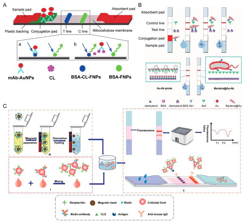 https://cdn.ncbi.nlm.nih.gov/pmc/blobs/e06b/9313176/ee09e3ed8e31/biosensors-12-00518-g006.jpg