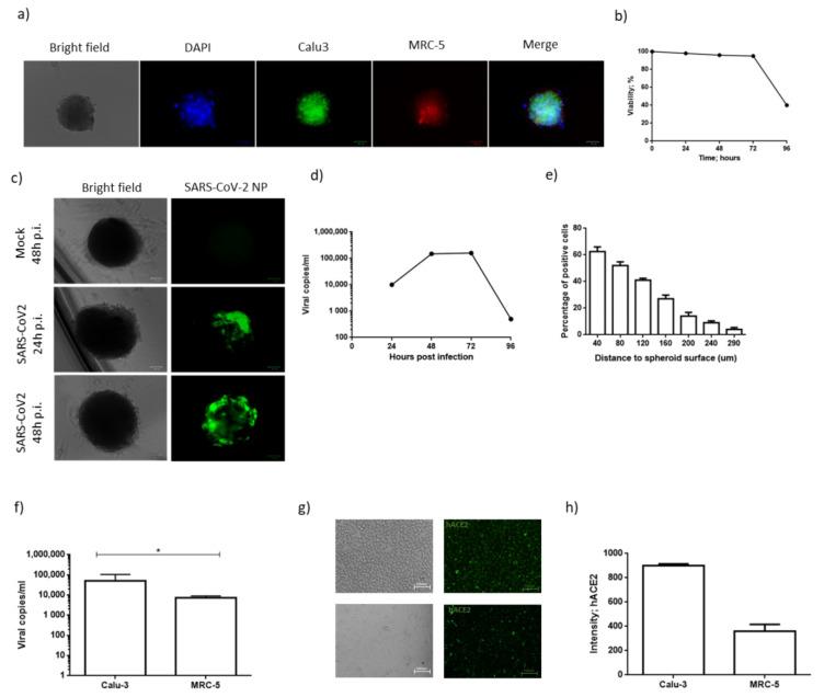 https://cdn.ncbi.nlm.nih.gov/pmc/blobs/e079/8465566/82023cbf00ba/microorganisms-09-01820-g001.jpg