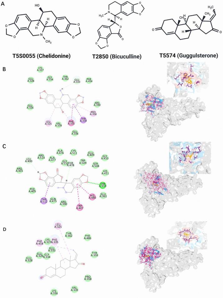 https://cdn.ncbi.nlm.nih.gov/pmc/blobs/e095/11858595/54dd03c7c7df/molecules-30-00790-g004.jpg