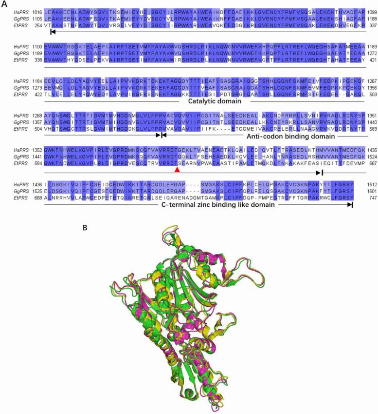 https://cdn.ncbi.nlm.nih.gov/pmc/blobs/e095/11858595/7c2100c7d839/molecules-30-00790-g001.jpg