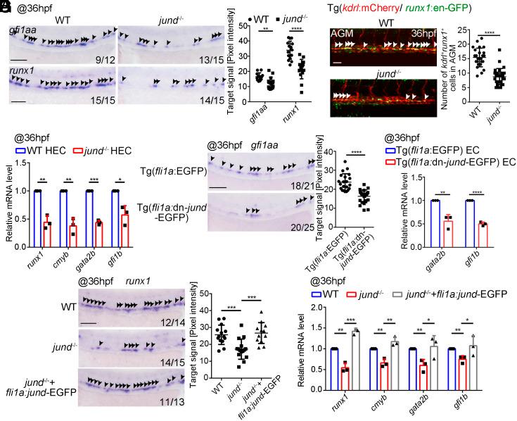 https://cdn.ncbi.nlm.nih.gov/pmc/blobs/e0ce/12167990/282cbdf6af06/pnas.2426714122fig03.jpg