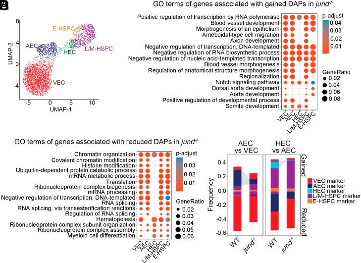 https://cdn.ncbi.nlm.nih.gov/pmc/blobs/e0ce/12167990/d24cfdae7f42/pnas.2426714122fig05.jpg