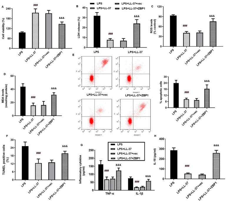 https://cdn.ncbi.nlm.nih.gov/pmc/blobs/e0d1/12197590/2ae6a8b210c6/toxins-17-00306-g005.jpg